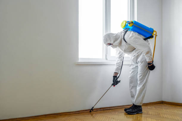 Best Best Pest Control Companies  in Hanover, OH