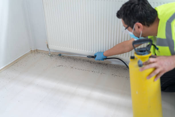 Wasp Removal Services in Hanover, OH